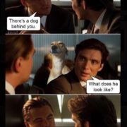 dog behind you