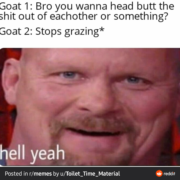 goat headbutt