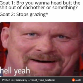 goat headbutt
